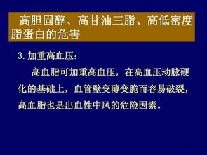 營養(yǎng)科技雙驅(qū)動(dòng) 功能食品與招生服務(wù)如何助力健康與學(xué)業(yè)